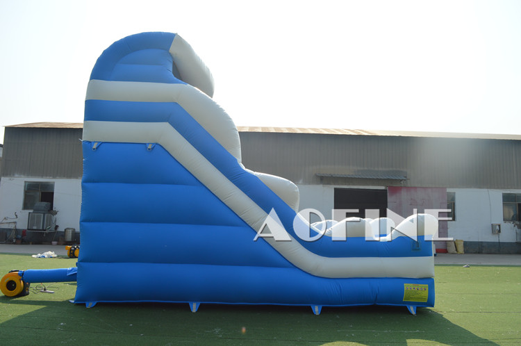 Blue Wave Slide Afs26