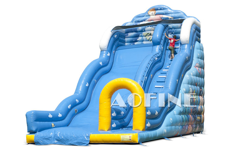 Big Wave Slide Afs92