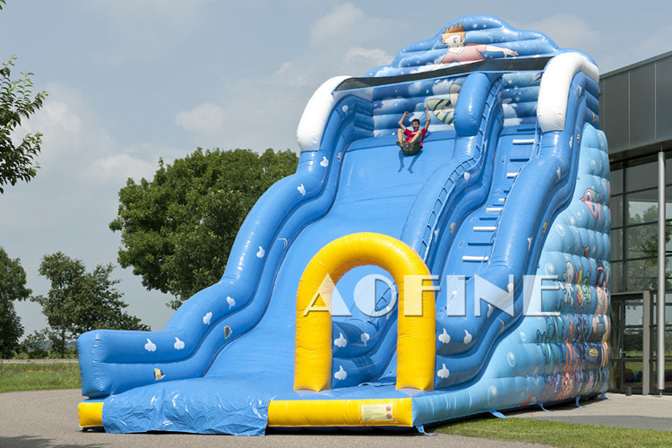 Big Wave Slide Afs92