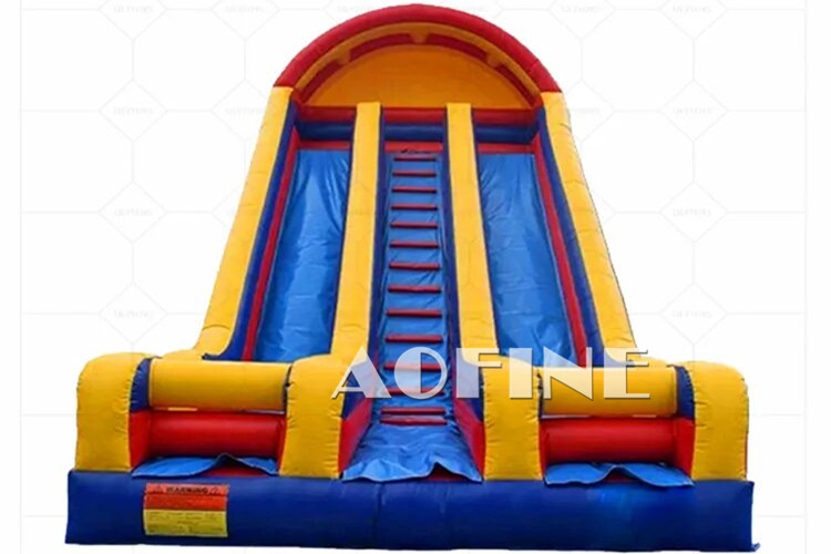 Backyard Dual Lane Slide Afs91