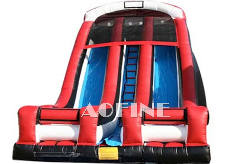 Backyard Dual Lane Slide Afs91